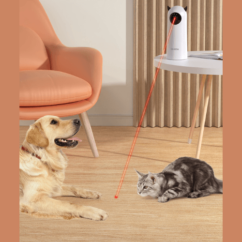 Laser Interativo Pet Toy