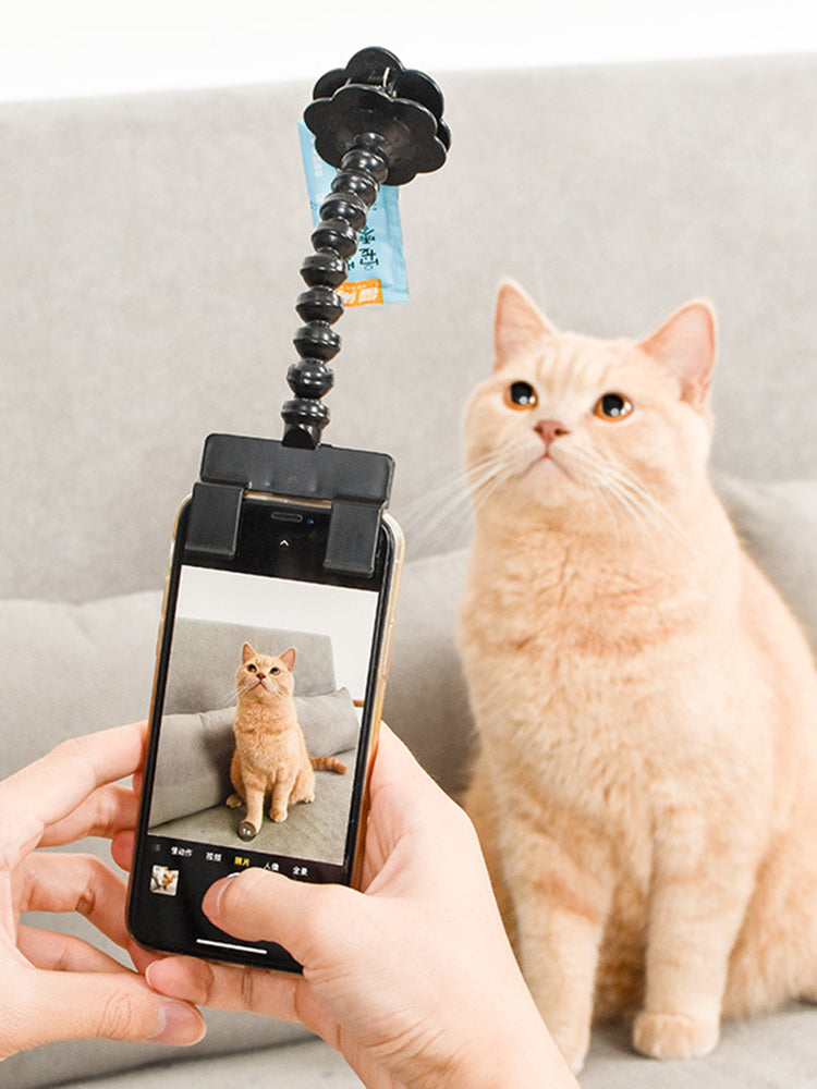 Pet Selfie