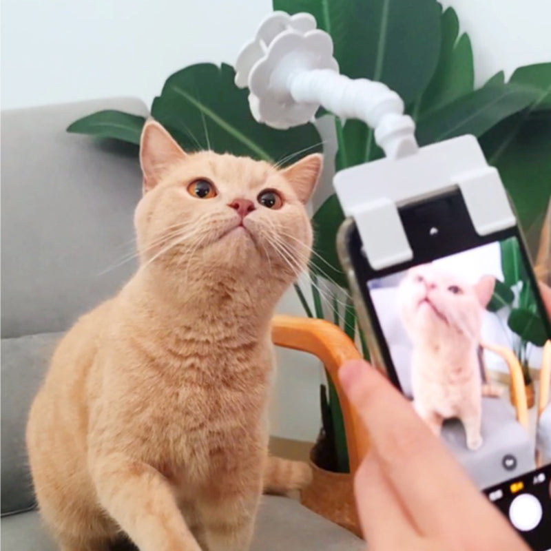 Pet Selfie